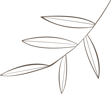 Stilize edilmiş dal, eliptik yapraklı ve şeffaf arkaplanlı bir hat sanatı ile çapraz olarak genişliyor. Minimalist, botanik, çizgi sanatı, doğa, zarafet, illüstrasyon, organik