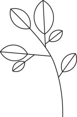 Çizgi sanatı botanik dalı şeffaf arka planda gösteriliyor, eliptik yapraklar sergileniyor. Minimalist, botanik, lineart, monokrom, doğa, tasarım, illüstrasyon