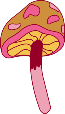 Şekil verilmiş mantarda pembe yamalar, sarı solungaçlar ve şeffaf arkaplanda kırmızı halka yer alıyor. Fantezi, kaprisli, illüstrasyon, botanik, doğa, canlı, gerçeküstü