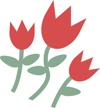 Yeşil saplar ve yapraklar üzerinde üç kırmızı lale çiçeği açıyor. Düz vektör, şeffaf arkaplan. Botanik, çiçek tasarımı, minimalizm, doğa, açık hava, bahar, zarafet