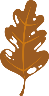 Düz tasarım meşe yaprağı yüzüyor, şeffaf arkaplanda turuncu damarları olan kahverengi bir forma sahip. Doğa, botanik, çizim, grafik tasarım, sonbahar, farkındalık, organik