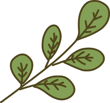 Düz tasarım, şeffaf arkaplanda yeşil oval yapraklı stilize botanik dalını gösteriyor. Botanik, doğa, illüstrasyon, minimalizm, organik, bitki, yeşil