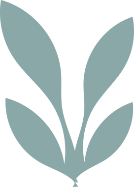 Minimalist düz tasarım, tabandan şeffaf tuval üzerinde yayılan beş eğri yeşil yaprak gösteriyor. Vektör, doğa, botanik, eko, modern, damgalama, illüstrasyon