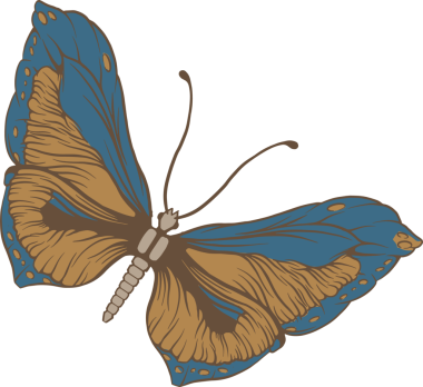 Kelebek mavi ve altın turuncu kanatları yayıyor, düz damarları ve şeffaf arkaplanı var. Doğa, entomoloji, illüstrasyon, tasarım, güzellik, zarafet, sükunet