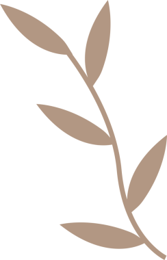 Yaprak sapı grafiği bej bej düz stil, şeffaf bg, kopyalama alanı olarak altı oval yaprak gösteriyor. Minimalist, botanik, doğa, vektör, illüstrasyon, organik, dekor