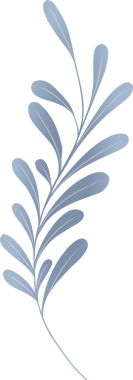 Stilize botanik dalı şeffaf arka planda serin mavi yapraklarla ortaya çıkıyor. Flora, doğa, minimalizm, dijital sanat, dekorasyon, organik, zarafet