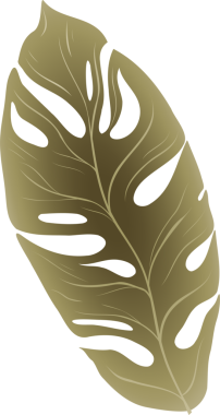 Şekillendirilmiş metalik altın canavar yaprağı şeffaf arka planda parıldıyor. Lüks, botanik, soyut, metalik, zarafet, doğadan esinlenilmiş, dekoratif