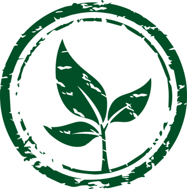 Tarzlı filiz düz amblemde gösteriliyor. Sorunlu halka ve şeffaf arkaplan ile. Büyüme, ekoloji, doğa, rozet, minimalist, çevresel, sürdürülebilirlik