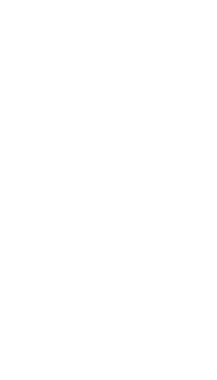 Dekoratif yapraklı dal, şeffaf arkaplan ile minimal çizgi sanat tasarımında gösteriliyor. Botanik, illüstrasyon, minimalist, organik, doğa, dekor, çizgi sanatı