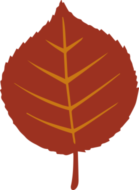 Renkli koyu kırmızı yaprak, şeffaf arkaplanda turuncu damar detaylarıyla gösteriliyor. Doğa, botanik, illüstrasyon, sonbahar, zarif, organik, grafik