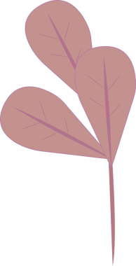 Şeffaf arkaplanda düz dizayn edilmiş üç kalp şeklindeki yapraklı stilize dal gösteriliyor. Botanik, illüstrasyon, minimalizm, doğa, bahçıvanlık, organik, sağlık