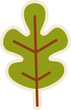 Düz yeşil meşe yaprağı, krem rengi ve kahverengi damarları olan şeffaf bir zemin üzerinde yüzüyor. Botanik, doğa, organik, illüstrasyon, minimalist, vektör, çevre