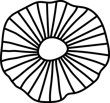 Vektör sanatı, merkezi oval ve şeffaf arkaplanda yayılan çizgilerle mantar kapağı gösteriyor. Minimalist, tek renkli, modern, organik, botanik, geometrik, sanatsal