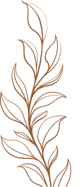 Şekillendirilmiş bitki sapında düz kahverengi çizgili ve şeffaf arka planda uzun yapraklar yer alıyor. Organik, doğa, minimalizm, zarafet, botanik, bitkisel, sağlık