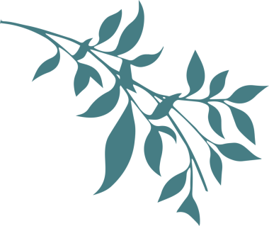 Minimalist illüstrasyon, şeffaf arkaplanda pürüzsüz yapraklarla uzanan deniz mavisi dallarını gösteriyor. Botanik, doğa, organik, resimleme, dekor, zarafet, modern