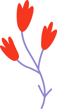 Düz dizayndaki çiçek filizi, lavanta sapında şeffaf arka planda üç kırmızı tomurcuk gösteriyor. Botanik, çiçek, minimalizm, doğa, illüstrasyon, zarafet, organik