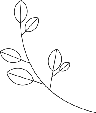 Yedi oval yaprağı gösteren kavisli bir bitki dalı basit çizgi sanatında damarları olan, şeffaf bir arkaplan. Botanik, illüstrasyon, minimalizm, doğa, yeşillik, tasarım, organik