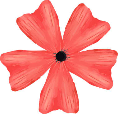 Tarz verilmiş kırmızı haşhaş çiçeği, şeffaf arka planda koyu renkli altı fırça darbesi yaprağı gösteriyor. Çiçek, botanik, illüstrasyon, tasarım, doğa, renk, dekorasyon