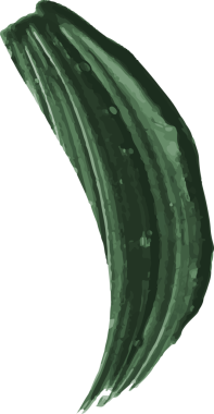 Soyut kıvrımlı yeşil fırça darbesi, boya izleriyle şeffaf arkaplanda akıyor. Sanatsal, organik, minimalist, doğadan esinlenilmiş, akışkan, dokulu, canlı