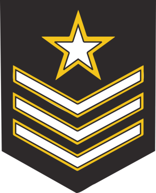 Düz dizayn amblemi, saydam alanda sarı kenarlı beyaz yıldız ve sembolleri gösteriyor. Rozet, sembol, grafik, vektör, amblem, simge