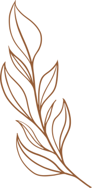 Botanik şubesi düz sanat dalında uzun yapraklı, şeffaf arkaplanlı kahverengi ana hatları gösteriyor. Minimalist, çizgi sanatı, botanik, doğal, zarif, organik, resimleme