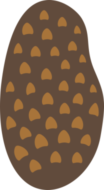 Soyut kahverengi form düz dizaynda şeffaf arkaplanda yüzüyor, yamalı desenler gösteriyor. Organik, minimalizm, toprak, geometrik, çağdaş, çok yönlü, doğal