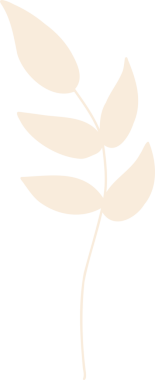 Beş krem yapraklı, şeffaf arka planlı, düz dizayn edilmiş yaprak dalı gösteriliyor. Botanik, doğa, minimalizm, vektör, illüstrasyon, organik, dekorasyon