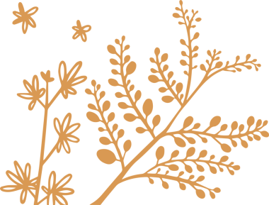 Bitki motifi, şeffaf arkaplanda dallanma sapları ve papatya çiçeklerini gösteriyor. Botanik, dekoratif, çiçeksel, minimalist, doğal, organik, vektör