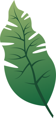 Tropikal yaprak vektör sanatı şeffaf arka planda süzülüyor, damarlardaki eğim gölgesini gösteriyor. Botanik, doğa, yeşillik, organik, minimalist, canlı, canlı