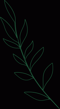 Şeffaf arka planda asgari yeşil çizgi sanat dalı gösteriliyor, uzun yapraklar gösteriliyor. Botanik, doğa, illüstrasyon, minimalizm, organik, yeşil, tasarım