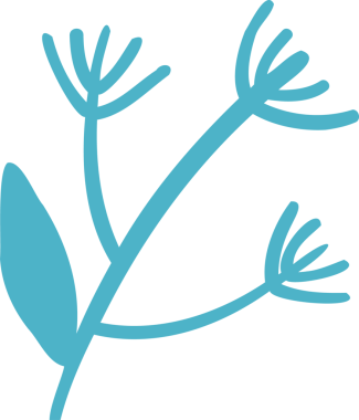 Teal botanik simgesi şeffaf tuval üzerinde gövde, yaprak ve tomurcuk kümeleri ile düz tasarım gösteriyor. Doğa, çiçek, minimalizm, zarafet, organik, grafik, modern