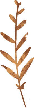 Botanik dalı düz vektör sanatında gösteriliyor, kahverengi yapraklı, şeffaf arkaplan. Doğa, illüstrasyon, botanik, vektör, organik, toprak, tasarım