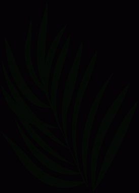 Saydam arkaplan üzerinde düz vektörler halinde yayılan el ilanlarıyla palmiye ön silueti sunuluyor. Tropik, doğa, minimalizm, botanik, organik, vektör, dekoratif