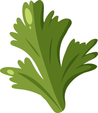 Yeşil maydanoz kümesi düz vektör dizaynlı, şeffaf arka planda deniz tarağı yaprakları gösteriyor. Botanik, bitkisel, doğal, organik, tazelik, aşçılık, sağlık