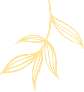 Soyut biçimlendirilmiş dal, şeffaf arkaplanda doğrusal yapraklarla düz tasarım olarak ortaya çıkmaktadır. Botanik, minimalizm, çizgi sanatı, doğa, illüstrasyon, organik, modern