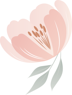 Pembe çiçek yaprakları, erkek organlar, düz dizayn edilmiş yapraklar, şeffaf arkaplan üzerinde eğilme gösteriyor. Çiçeksel, botanik, minimalist, vektör, doğa, dekorasyon, zarafet