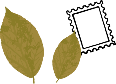 İki zeytin tonu yaprağı ve şeffaf arkaplanda düz siyah deniz tarağı çerçevesi var. Botanik, minimalist, düz tasarım, doğa, grafik, zarafet, illüstrasyon