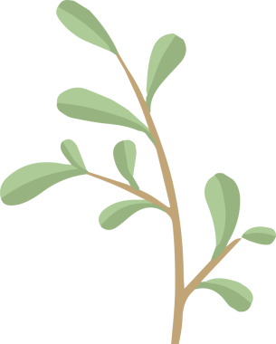 Yapraksı dal düz dizayn ile kıvrılıyor, şeffaf arkaplanda açık yeşil yapraklar gösteriyor. Botanik, doğa, minimalizm, resimleme, organik, bitki, yeşillik