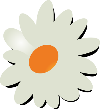 Stilize papatya çiçeği turuncu merkezli düz tasarımda şeffaf arkaplanda yüzüyor. Flora, botanik tasarım, minimalizm, vektör sanatı, doğa, bahar, tazelik