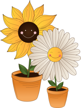 Düz dizayn ayçiçeği ve papatya terakotta tencerelerinde gülümsüyor, şeffaf bir arkaplan. Botanik, çiçek, karakter, dekor, neşeli, hayat dolu, çocuk odası.