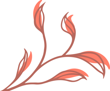 Stilize botanik dallanma sarmaşığı mercan yapraklarını gösteriyor, şeffaf arkaplanda düz bir tasarım. Çizim, botanik, organik, soyut, dekoratif, minimal, doğal