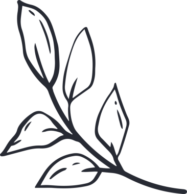 Minimalist çizgi sanatı, şeffaf arkaplanda beş uzun yaprak ve damarlı dal gösteriyor. İllüstrasyon, botanik, doğa, organik, zarif, dekor, monokrom