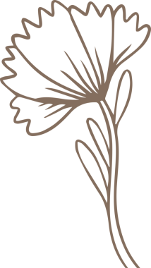 Biçimlendirilmiş botanik çizgisi, kıvrımlı yaprak gövdeli, şeffaf bir arka planı olan dalgalı yaprakları gösteriyor. Doğa, illüstrasyon, minimalizm, zarafet, organik, eskiz, tasarım