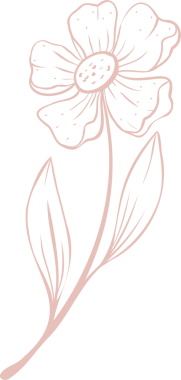 Stilize çiçek, yaprakları ve yaprakları olan şeffaf arkaplanda sessiz pembe çizgide gösteriliyor. Botanik, çiçek, minimalizm, zarafet, doğa, illüstrasyon, organik