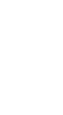 Tarzlı eğreltiotu benzeri dal şeffaf arka planda süzülüyor, beyaz çizgili sanat yaprakları sergiliyor. Botanik, illüstrasyon, minimalizm, çizgi sanatı, tasarım, doğa, organik