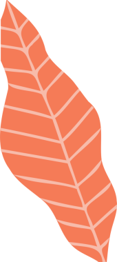 Düz dizayn, şeffaf arkaplanda mercan-turuncu şeftali damarlı yaprak dalgalanıyor. Kopya uzayı. Botanik, doğa, organik, minimalizm, çizim, çevre dostu, tasarım