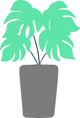 Düz gri bitki gövdeli yeşil ev bitkisi tutuyor, şeffaf arka planda bölünmüş yapraklar. Botanik, yeşillik, kapalı bahçe, modern tasarım, minimalizm, doğadan esinlenilmiş, ev dekorasyonu.