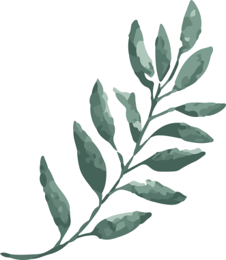 Biçimlendirilmiş botanik dalı, yamalı yeşil yapraklar ve şeffaf arka planla çapraz olarak genişliyor. Flora, doğa, botanik, organik, zarif, dekoratif, minimalist