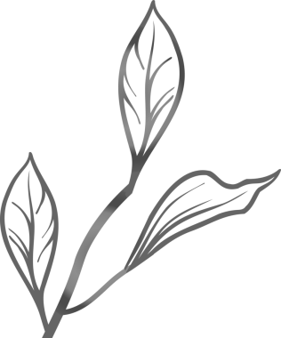 Botanik dalı, şeffaf arka planda metalik eğimli yapraklarla düz bir şekilde yüzüyor. Minimalist, botanik, çizgi sanatı, zarif, modern, dekoratif, doğadan esinlenilmiş