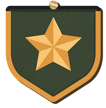 Vektör illüstrasyonunda metalik rozet, yeşil kalkan, altın yıldız ve şeffaf broş görünüyor. Amblem, amblem, nişan, ödül, takdir, şirket, başarı, prestij